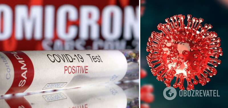 Штамм Омикрон. dqxikeidqxiqqeant