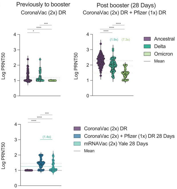 График: twitter.com/VirusesImmunity dqxikeidqxitkant
