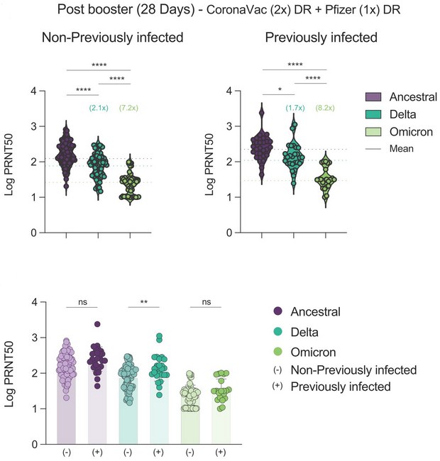 График: twitter.com/VirusesImmunity