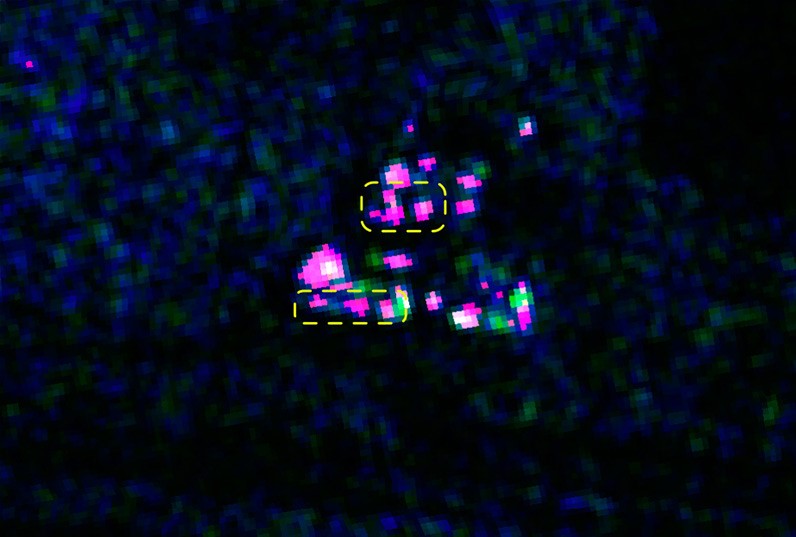 Опубликованы новые спутниковые снимки с доказательствами продолжающегося наращивания сил российской армии у границы с Украиной - 2 - изображение