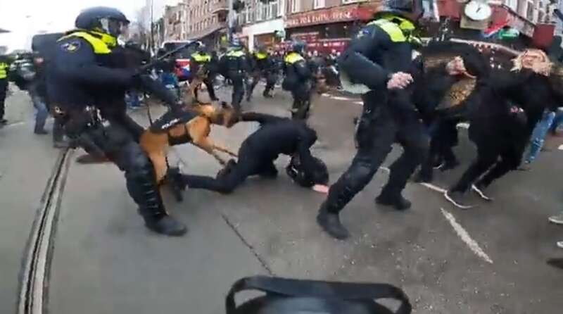 На протестующих натравливают служебных собак dqxikeidqxitkant