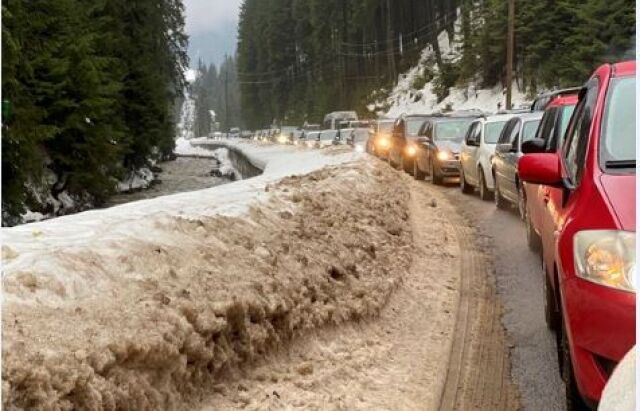     ,       30  dqxikeidqxitkant