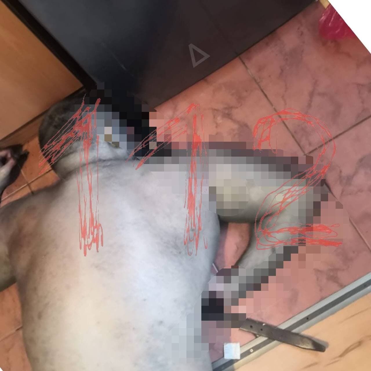 Тело лежало на полу квартиры