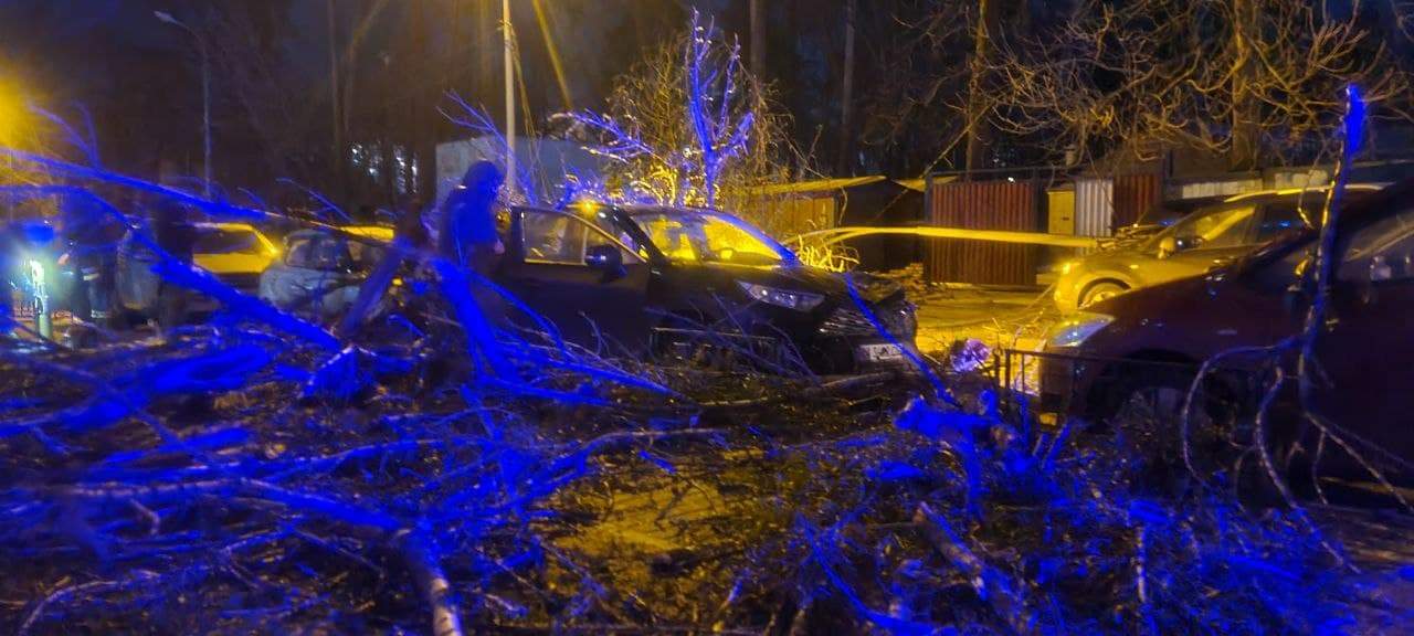 наслідки негоди у Києві наслідки негоди у Києві