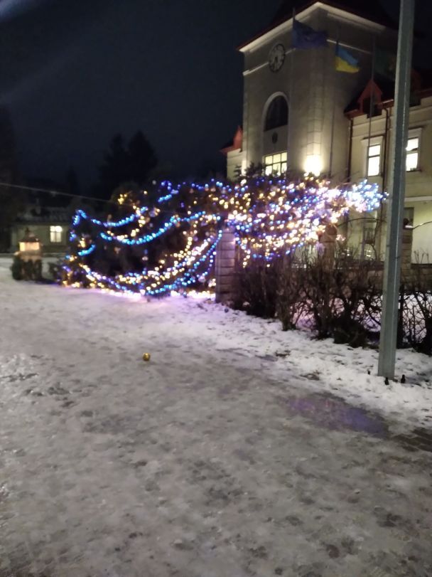 © Фото из социальных сетей