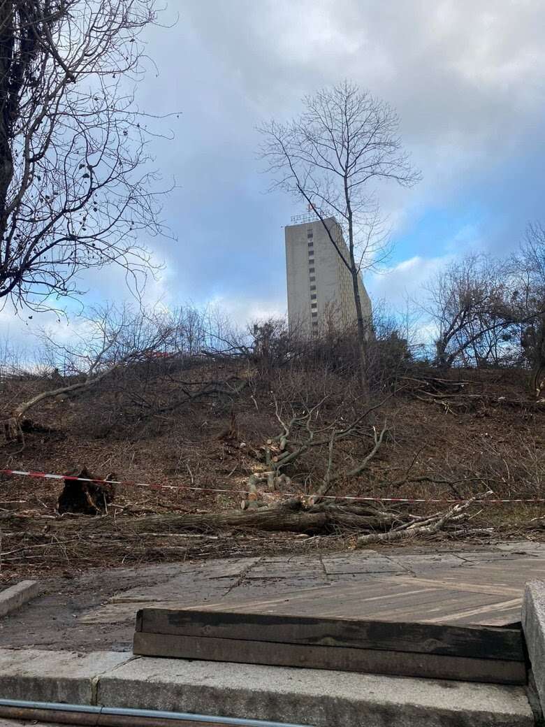 Знищені дерева біля Олімпійського і відголоски кримінальних 90-х: історія, де випливають Суркіси, Каха Каладзе, Черновецький і Целовальник 02 Знищені дерева біля Олімпійського і відголоски кримінальних 90-х: історія, де випливають Суркіси, Каха Каладзе, Черновецький і Целовальник 02