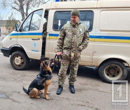Поліція знайшла псевдомінувальника школи в Кривому Розі dqxikeidqxiqqeant