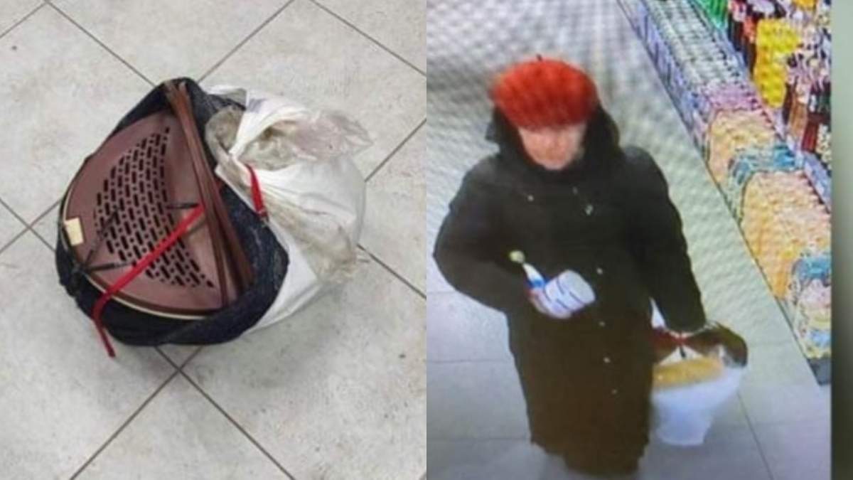 Жінку, яка несла кішку до ветеринара, вбили в центрі Дніпра Жінку, яка несла кішку до ветеринара, вбили в центрі Дніпра dqxikeidqxitkant