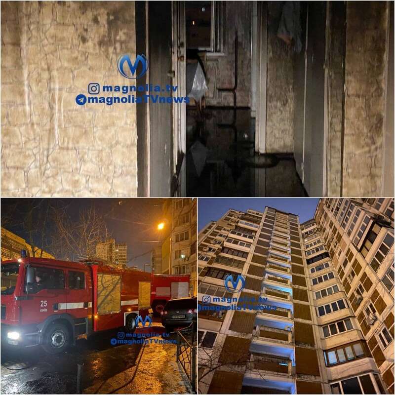 © magnolia-tv dqxikeidqxitkant