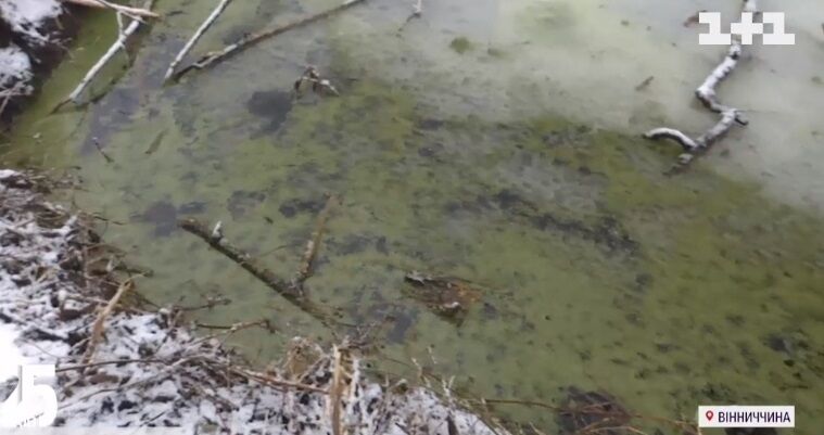 Копанка, в которую упал ребенок.