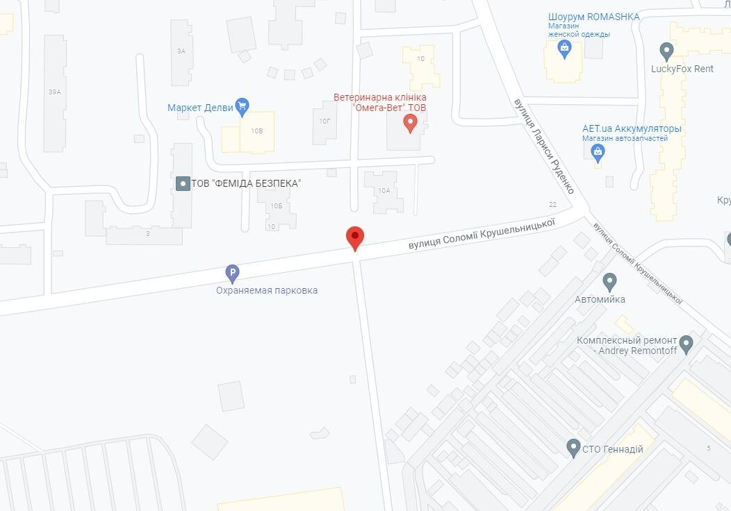 Инцидент произошел в Дарницком районе. dqxikeidqxitkant