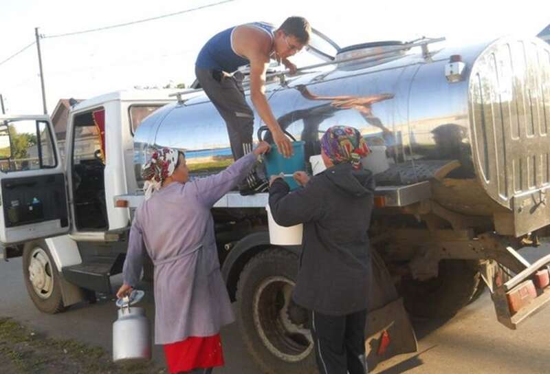 Молоко домашня корова дає якісне, але у процесі доставки до заводу ця якість може змінитися (фото: tripoli.land)