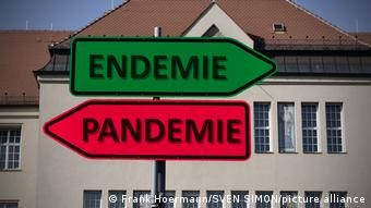 Станет ли омикрон выходом из пандемии? dqxikeidqxiqqeant