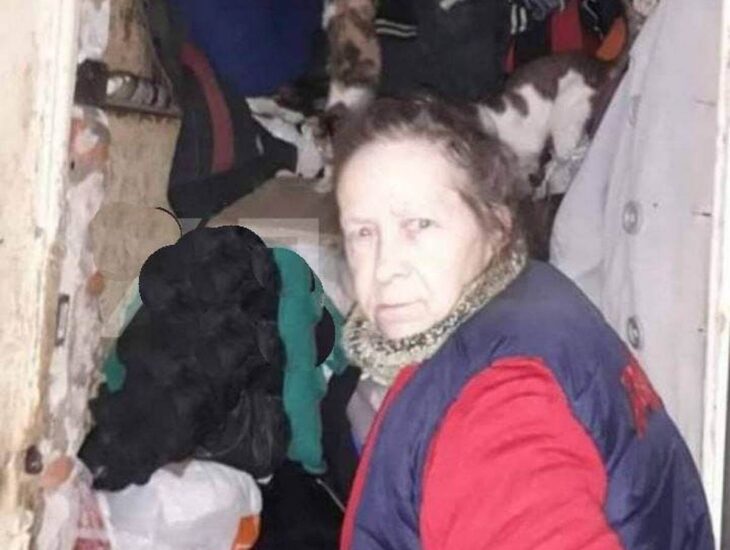        :       dqxikeidqxitkant