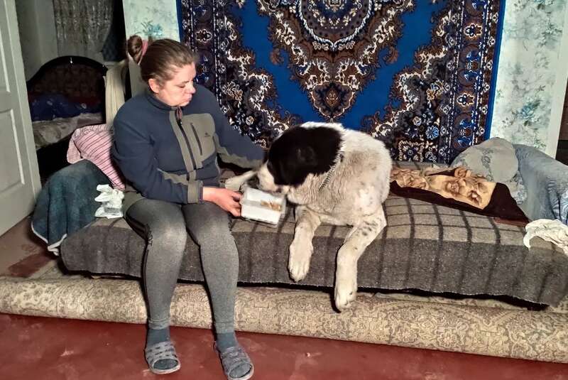 Правозащитники показали последствия ночного обстрела в Луганской области со стороны оккупантов: фото | Рубрика