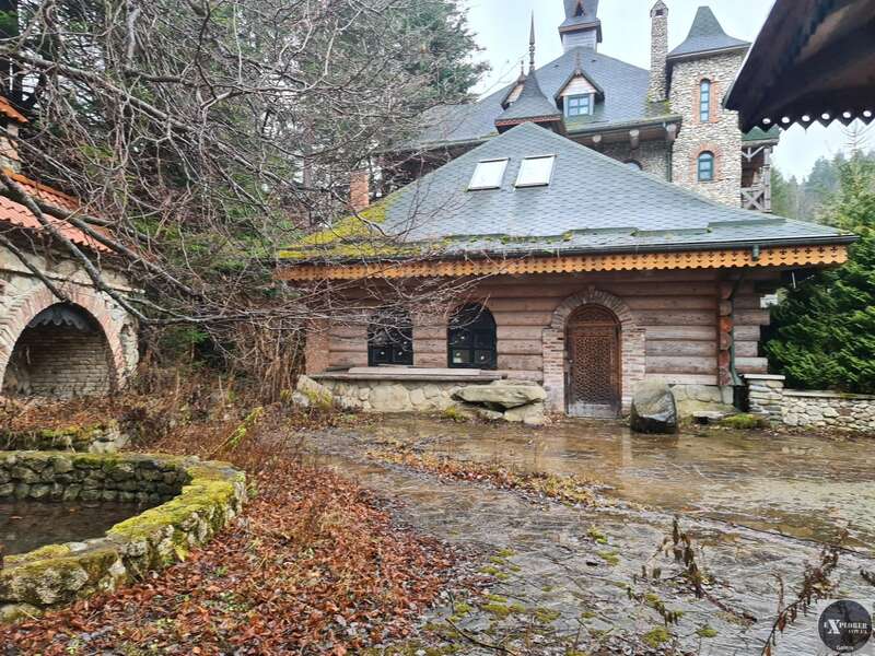      :     () dqxikeidqxiqxxant