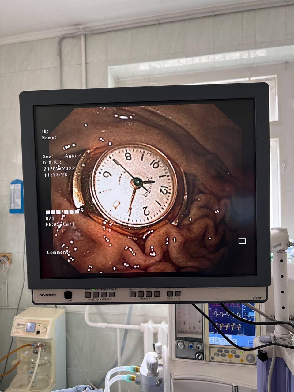     3- ,    () dqxikeidqxitkant