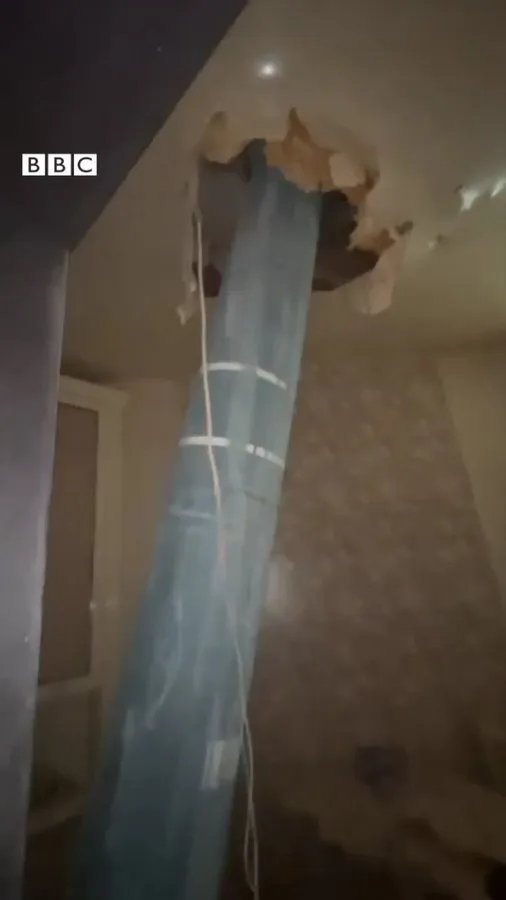    ,          dqxikeidqxitkant