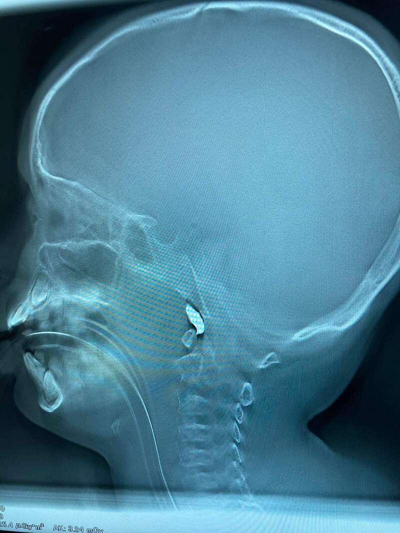 Харьков dqxikeidqxiqqeant