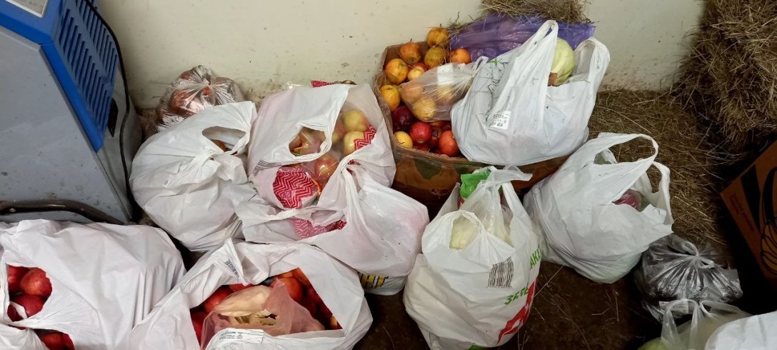 конный клуб, конный клуб киев, лошади, помощь животным dqxikeidqxiqqeant