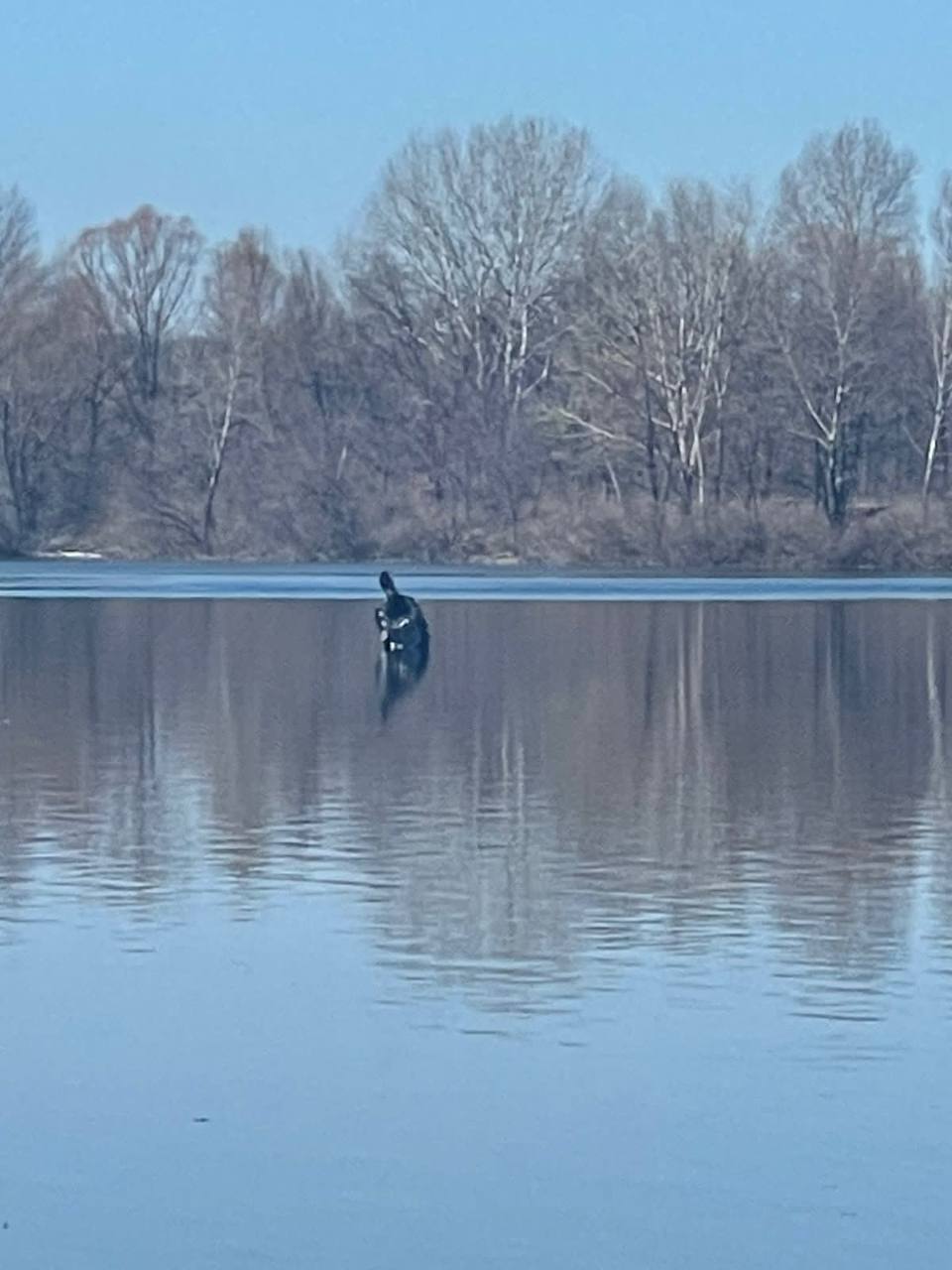 Украинская ПВО сбила вражескую ракету над Киевом dqxikeidqxiqqeant