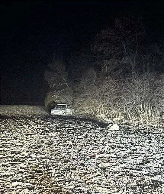 Мужчина вывез тело в лесополосу. dqxikeidqxiqqeant