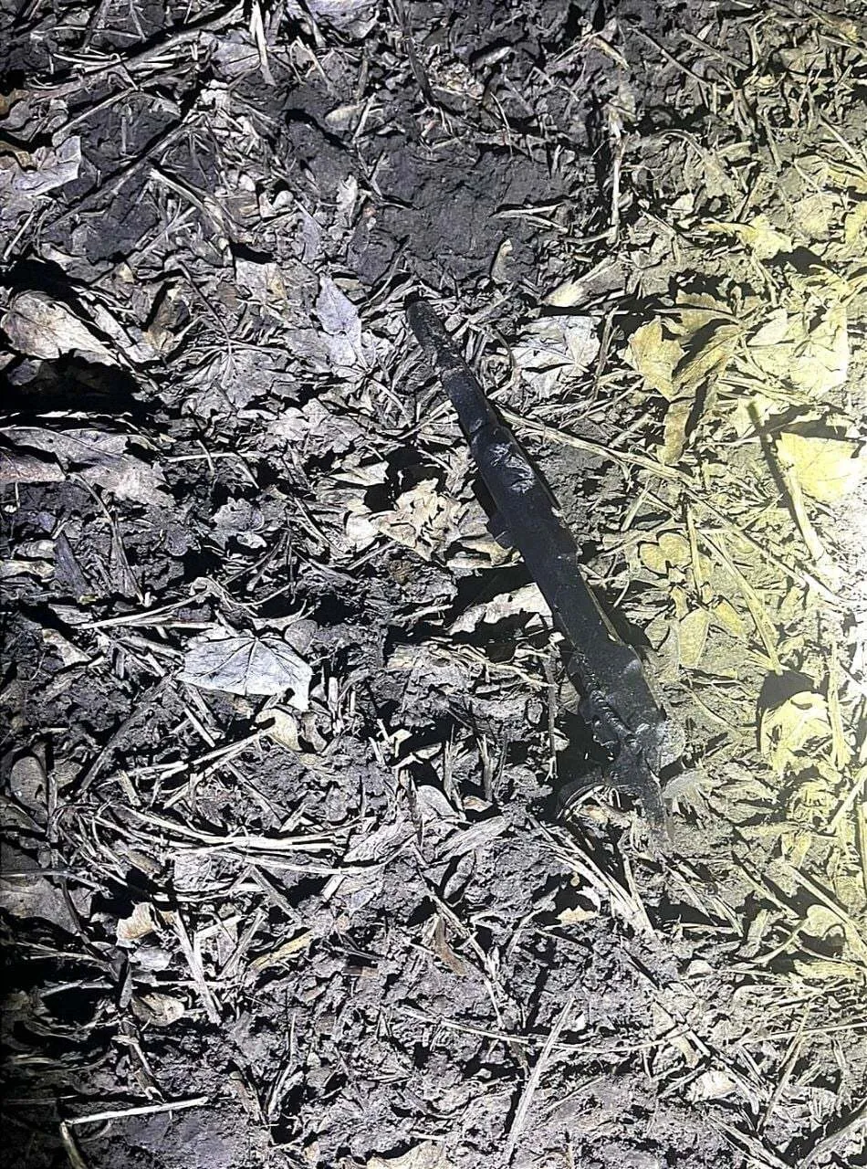 Позднее, он застрелился якобы из-за угрызений совести.