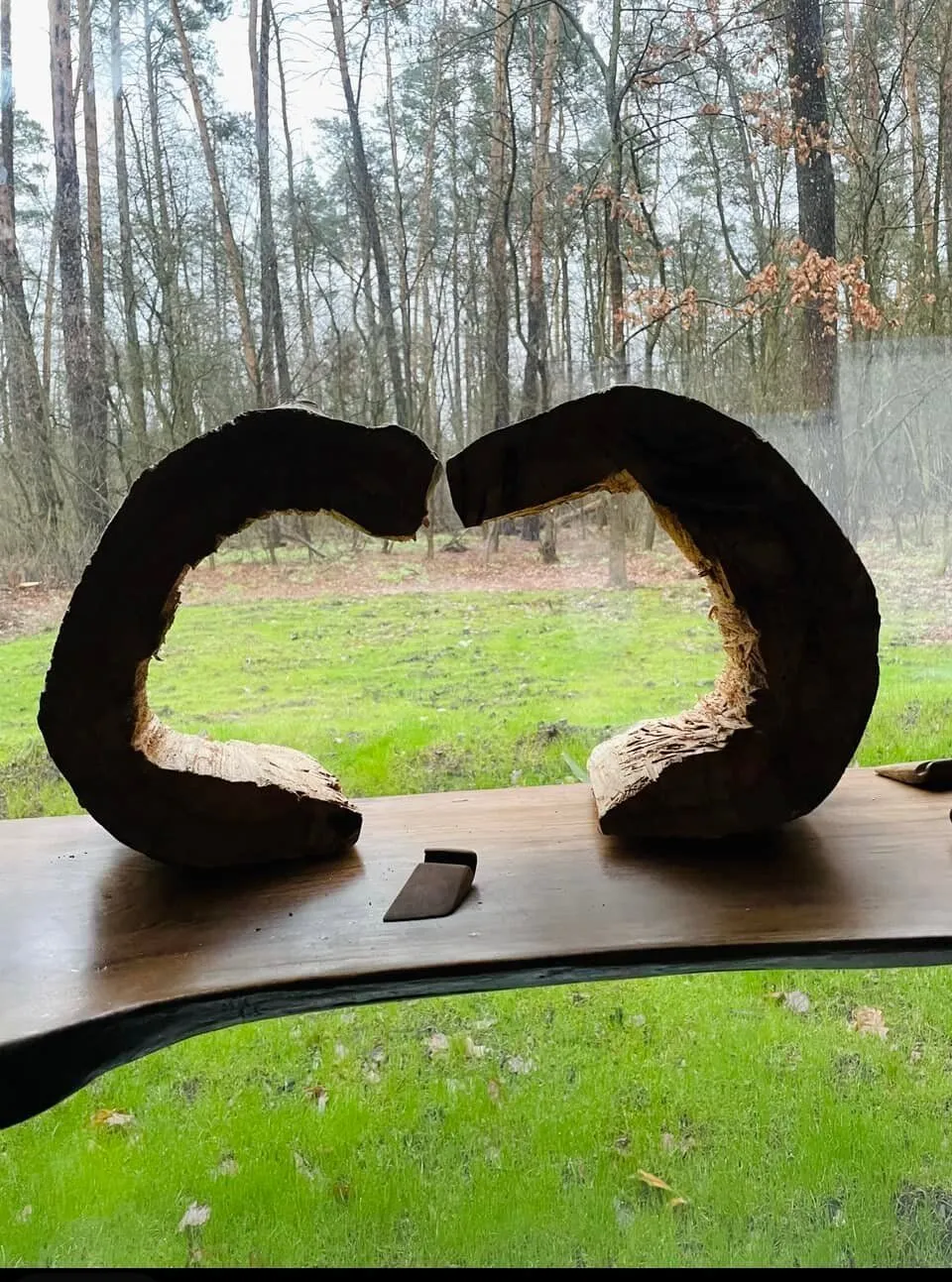 Дом Харчишина находится под Гостомелем