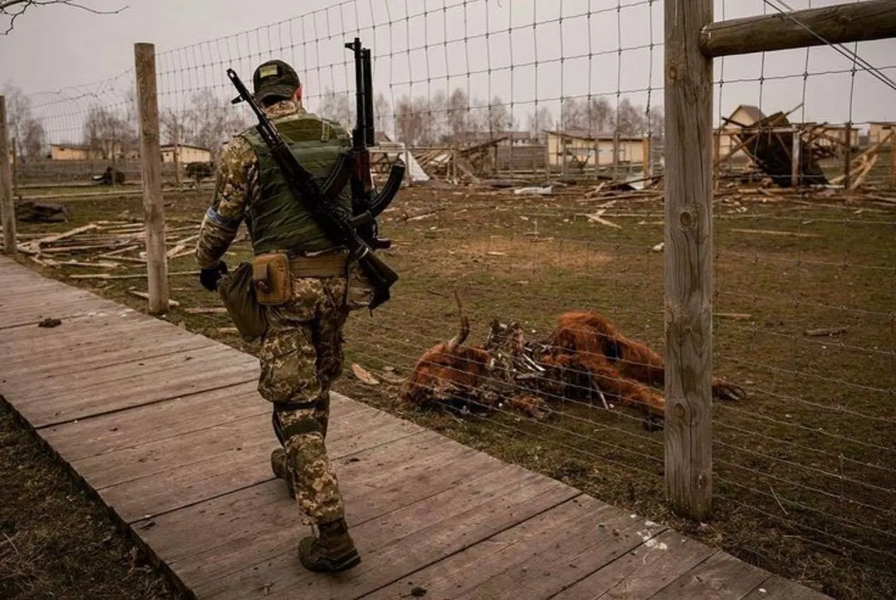 Не все животные пережили нашествие оккупантов. dqxikeidqxitkant