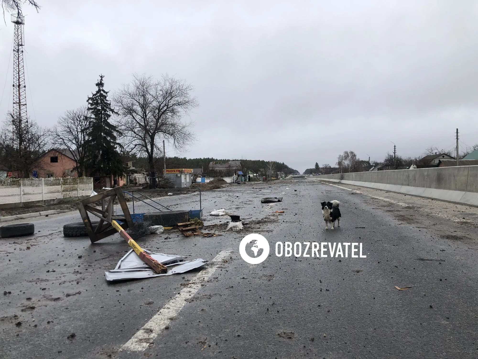 Возвращаться в Залесье все еще опасно