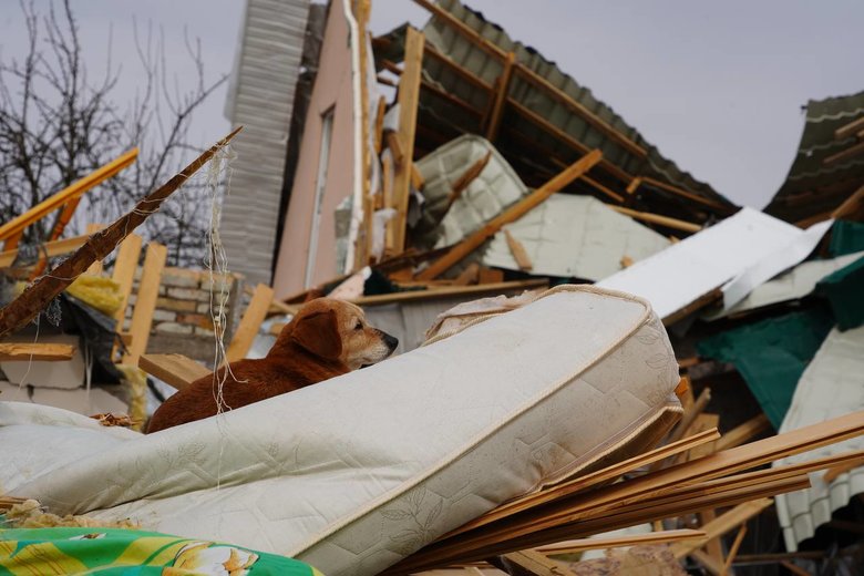 Масштаби руйнувань у Богданівці та Великій Димерці на Київщині 15