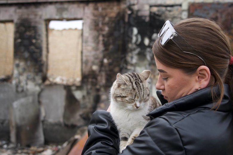Масштаби руйнувань у Богданівці та Великій Димерці на Київщині 08