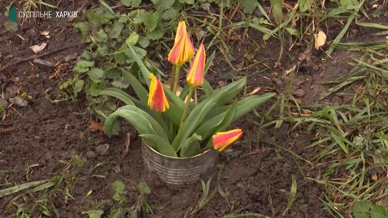 Цветы на месте гибели 12-летнего ребенка dqxikeidqxitkant