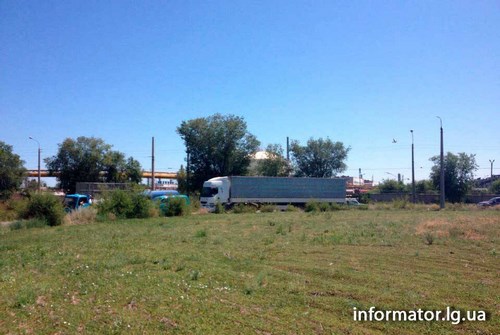 11798510_871292779574364_736941779_n