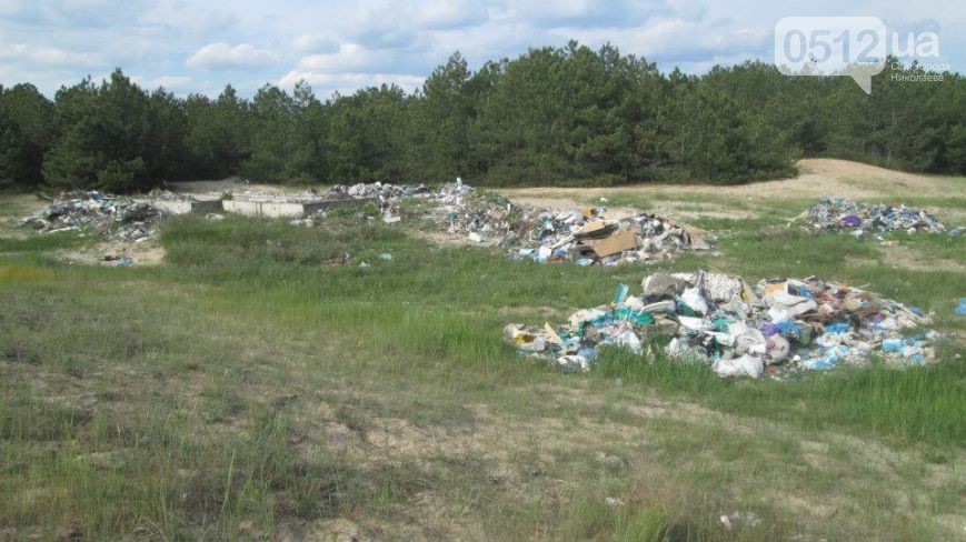 Кинбурнская коса: николаевская жемчужина Причерноморья под угрозой (фото) - фото 3