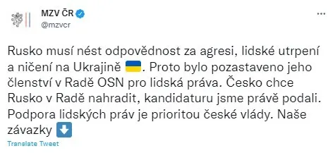 В Чехии уверены, что Россия должна ответить за агрессию в Украине