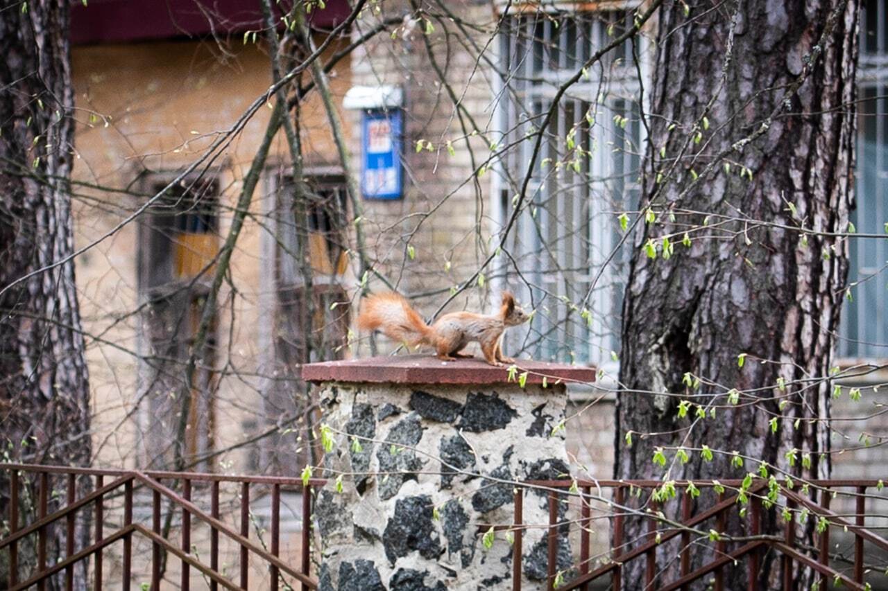 Здания сильно пострадали от вражеский обстрелов.