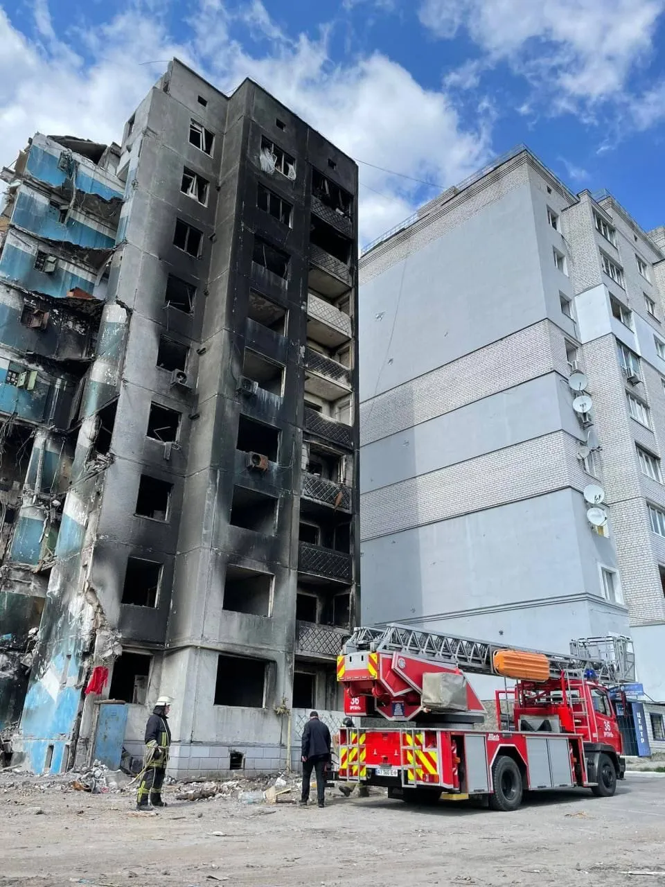 На помощь животному пришли спасатели.