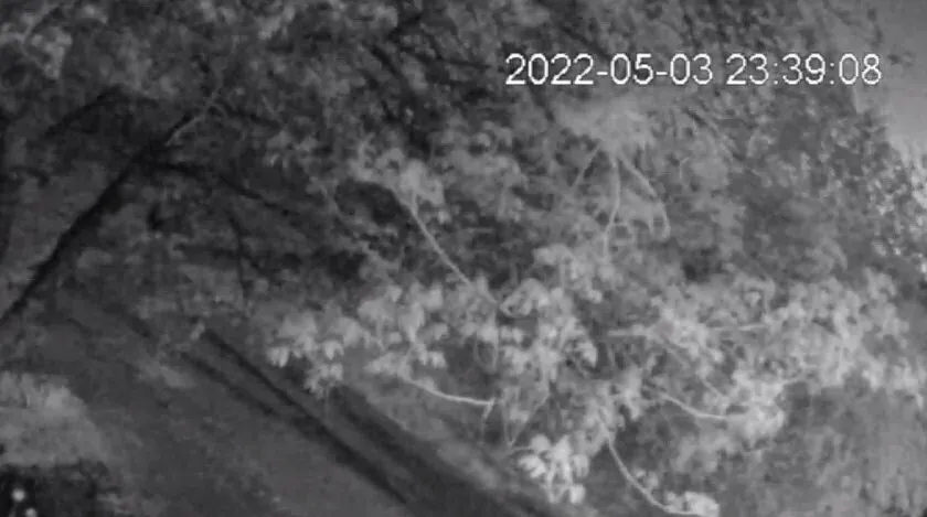 Яркая вспышка от взрыва в Запорожье попала на видео dqxikeidqxiqqeant