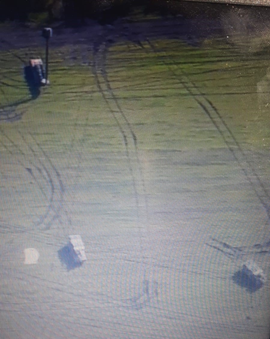       &quot;&quot; dqxikeidqxiqqeant