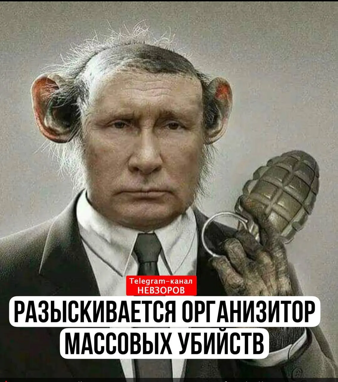 Александр Невзоров сравнил Владимира Путина с обезьяной. dqxikeidqxitkant