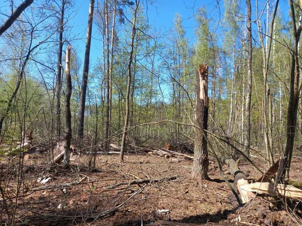 Российская авиация обстреляла приграничные районы Черниговской области dqxikeidqxitkant