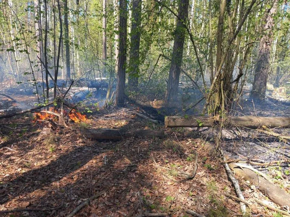 Вражеские ракеты привели к возгоранию сухостоя