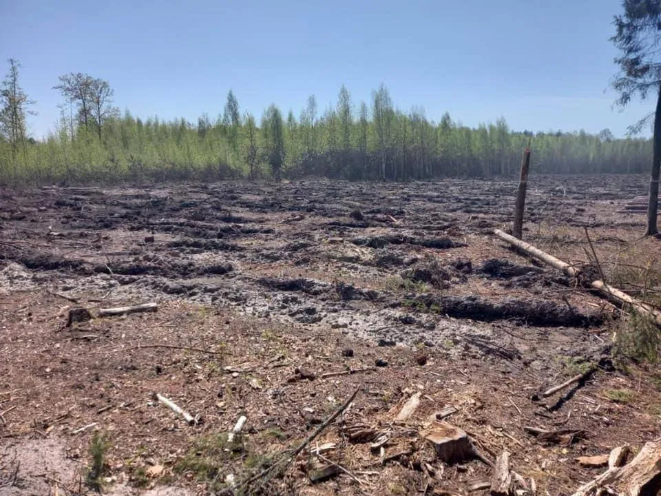 Пограничники потушили пожары, возникшие из-за атаки РФ