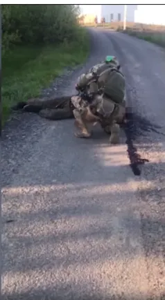 Один из пленных оккупантов dqxikeidqxitkant