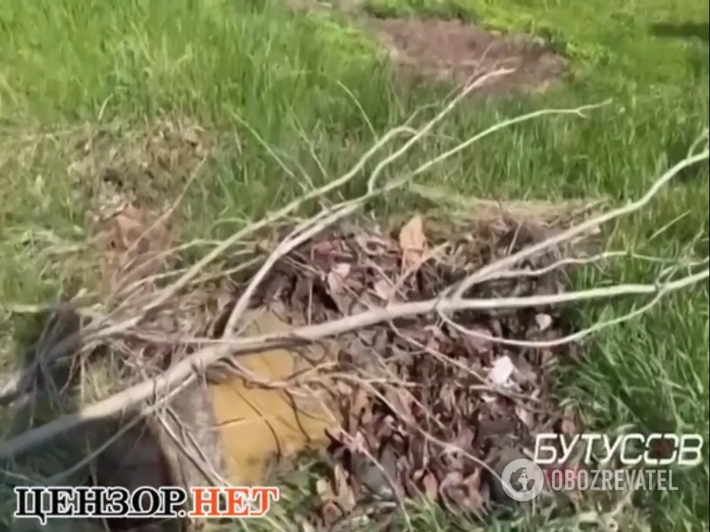 Тело одного из оккупантов накрыли ветками dqxikeidqxitkant