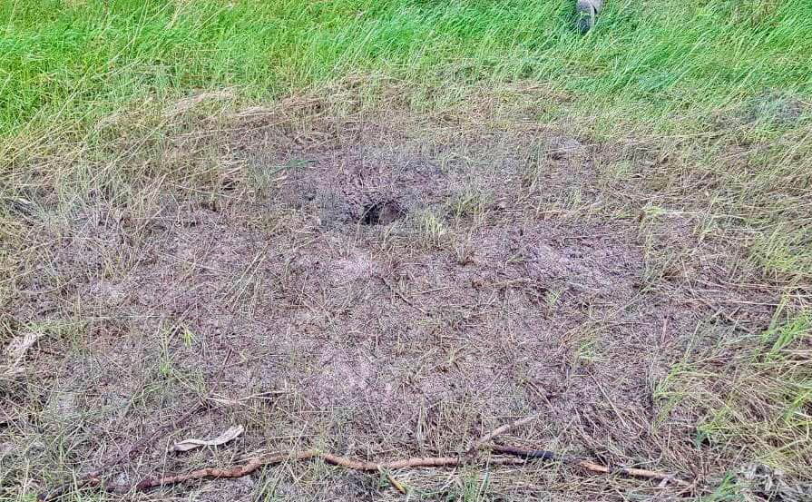 Перед бегством оккупанты заминировали территорию региона. dqxikeidqxiqqeant