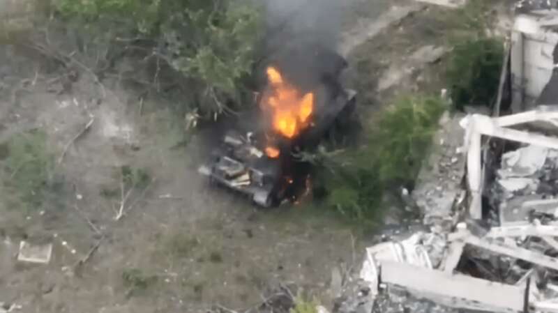 репортаж о тюльпане dqxikeidqxitkant