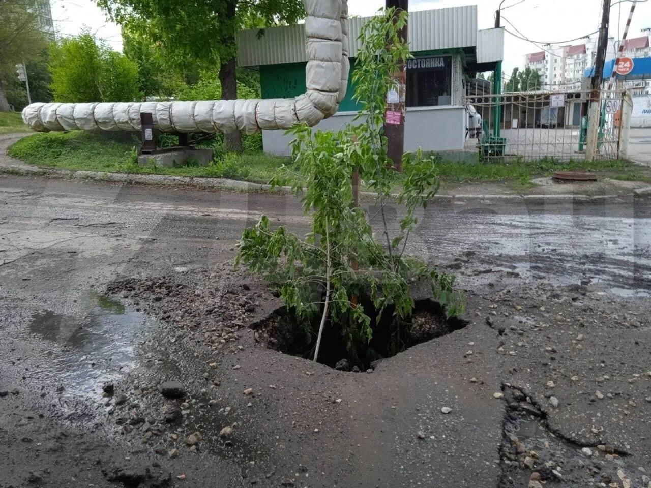 Саратов "затопило" фекалиями. dqxikeidqxitkant