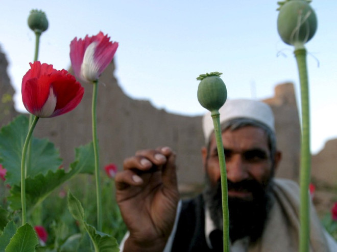 0000 dqxikeidqxitkant